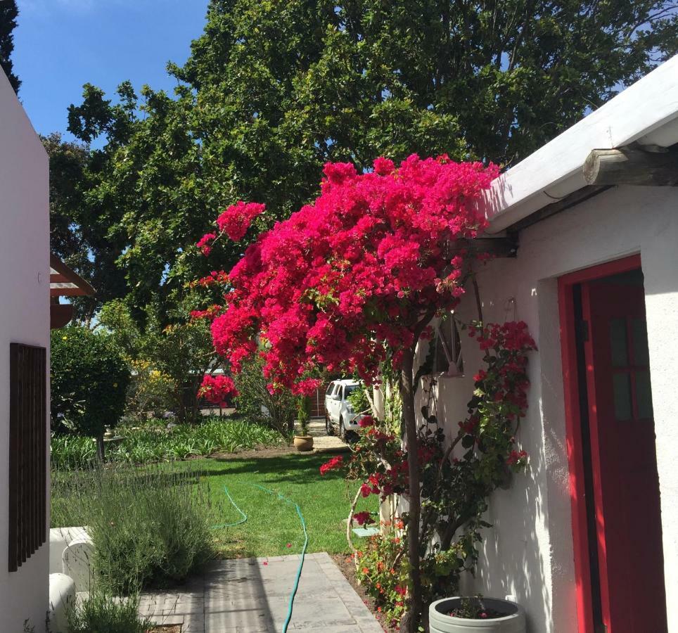 Acorn Cottage Hermanus Exterior photo